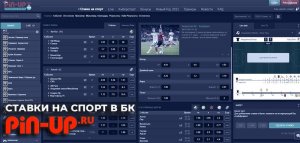 Букмекерская контора Pin Up