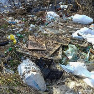 «Доплывёт ли до Смоленска дохлая ярцевская собака?». Смоляне сфотографировали впечатляющую свалку