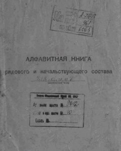 В погоне за славой, медалями или патриотизмом...