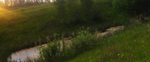 Длинный, но интересный разбор, короткой заметки. Читать всем и до конца.