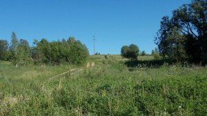 Яблоневый сад и берёзовая роща под угрозой уничтожения.