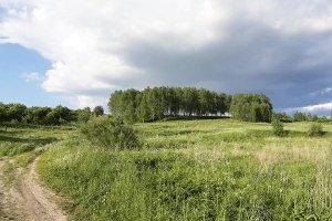 Яблоневый сад и берёзовая роща под угрозой уничтожения.