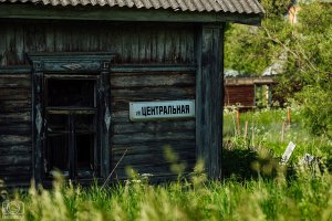 На областном уровне обратили внимание на уничтожение яблоневого сада и рощи
