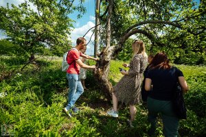На областном уровне обратили внимание на уничтожение яблоневого сада и рощи