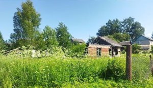 "Землеройка". Новая серия статей сайта Ярцево Ру
