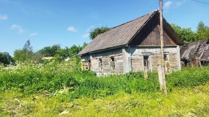 "Землеройка". Новая серия статей сайта Ярцево Ру