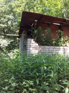 Нечистоплотные методы администрации