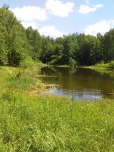 Нечистоплотные методы администрации