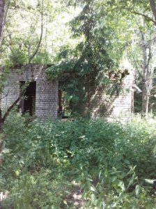 Нечистоплотные методы администрации