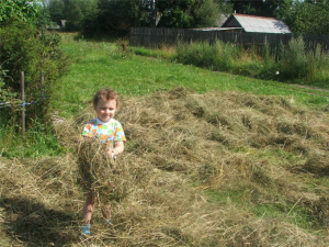ИЮЛЬ В ДЕРЕВНЕ - ПОРА ЗАГОТОВКИ СЕНА...