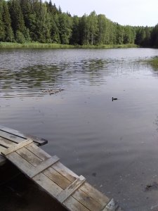 Самоотверженность одних, по причине халатности других