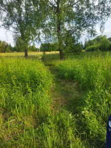 "Маленькие" люди в заложниках у власти
