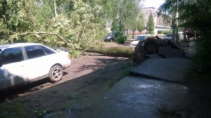 Чем ждать администрацию, чаще проще сделать самому