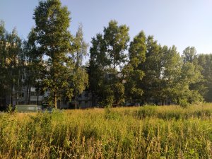 Дворовый репортаж. Улица Строителей 10