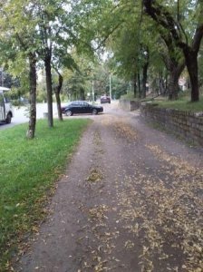 Завершился первый день голосования