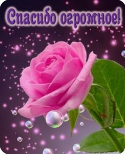Спасибо за доверие!