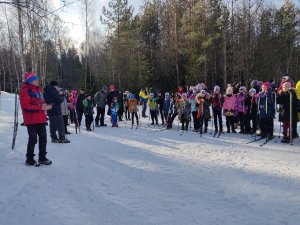 Ярцевчане любят лыжи от мала до велика