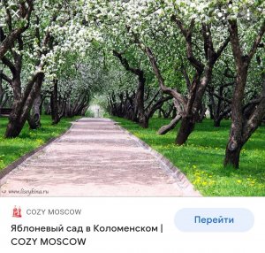 Депутатами Ю.Бухаловым и Н.Кулешовой внесён проект местного закона "О сохранении зелёных зон".