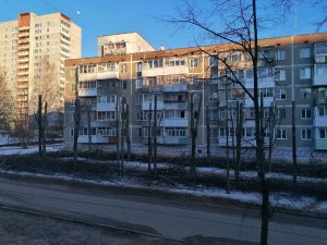 Жителям не нравится как "кронируют" деревья