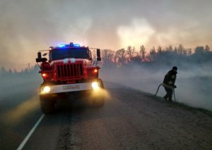 Палы травы с начала весны зарегистрировали в шести районах Смоленской области