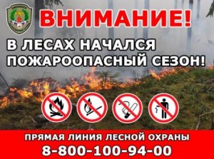 В лесах Смоленщины открыт пожароопасный сезон