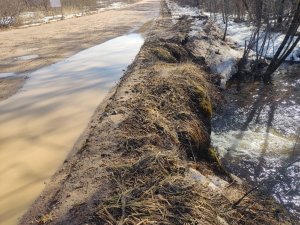 Путешествие из города Ярцево в деревню Засижье