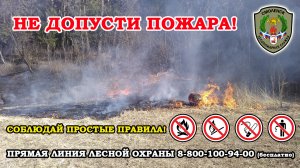 Не допусти лесного пожара!