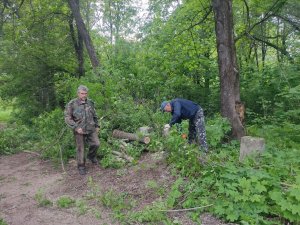 Сквер возле Банного озера начали благоустраивать
