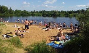 НЕТ СПАСЕНИЯ ОТ ДУРАКОВ