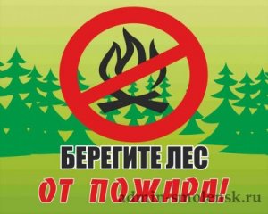 Правила пожарной безопасности в лесу