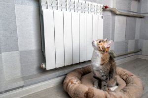 Принятие решения о начале отопительного сезона прямая обязанность глав