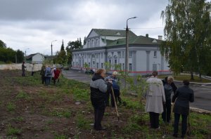 Одной рукой деревья садим, другой уничтожаем