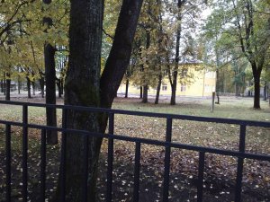 Начальные классы начали заниматься в малом здании гимназии