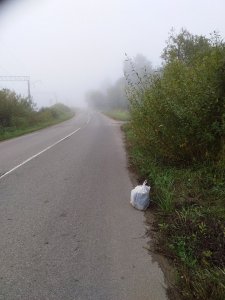 Не донёс...
