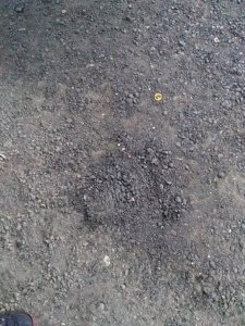 Пойдёт и так?