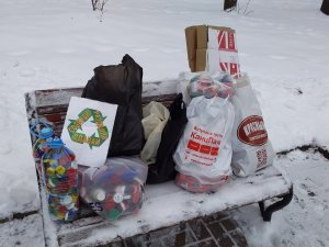 Как трава сквозь асфальт... Будни экологических активистов