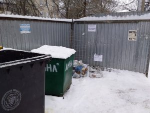 Как трава сквозь асфальт... Будни экологических активистов