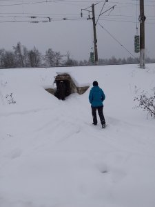 Наталья Кулешова "пробивает" подземный переход