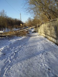 Кому бесплатные дрова?
