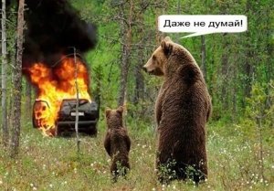 Виктория Артеменкова против автозаброшек