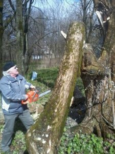 Зона отдыха в районе Банного озера совместными усилиями