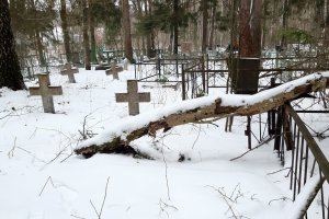 Чиновники умудрились «потерять» целое кладбище
