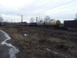 Депутаты в коротких штанишках