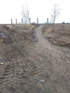 Депутаты в коротких штанишках
