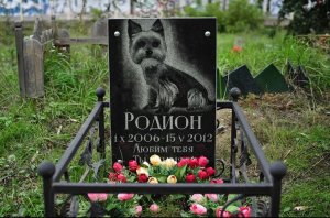 Спор вокруг кладбища домашних животных