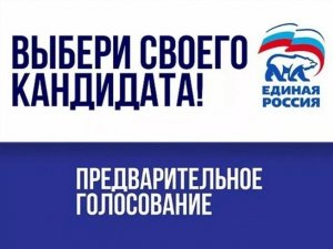 Предварительное голосование "Единой России". Округа и данные кандидатов