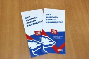 С 22 по 28 мая 2023 года пройдет предварительное голосование 