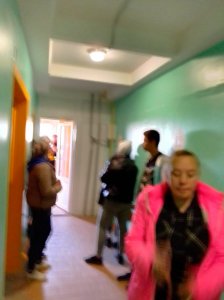 Зоозащитники устроили "травлю" людей?
