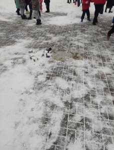 На Старом Ярцево новогодний утренник...