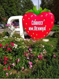 КПРФ выдвинула Харитонова кандидатом в президенты России